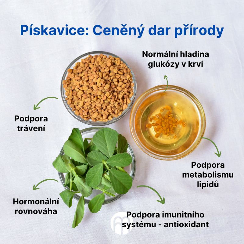 Pískavice Ceněný dar přírody